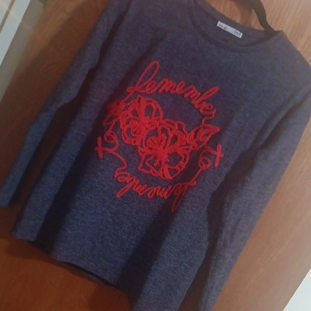 Zara Navy and Red Graphic Sweater